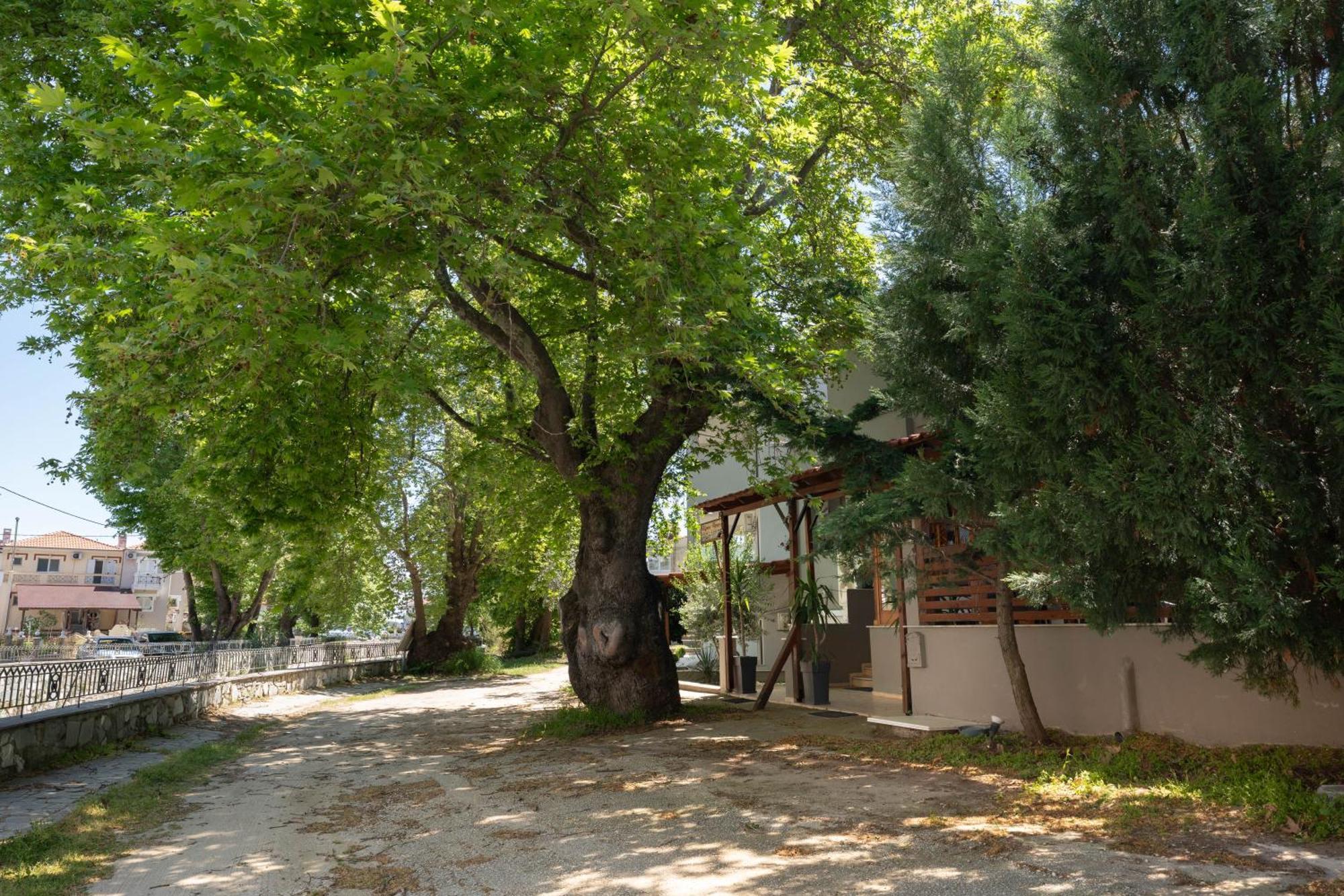 Kipos Resort Néa Péramos Extérieur photo